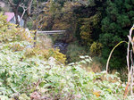 pota20071104.jpg